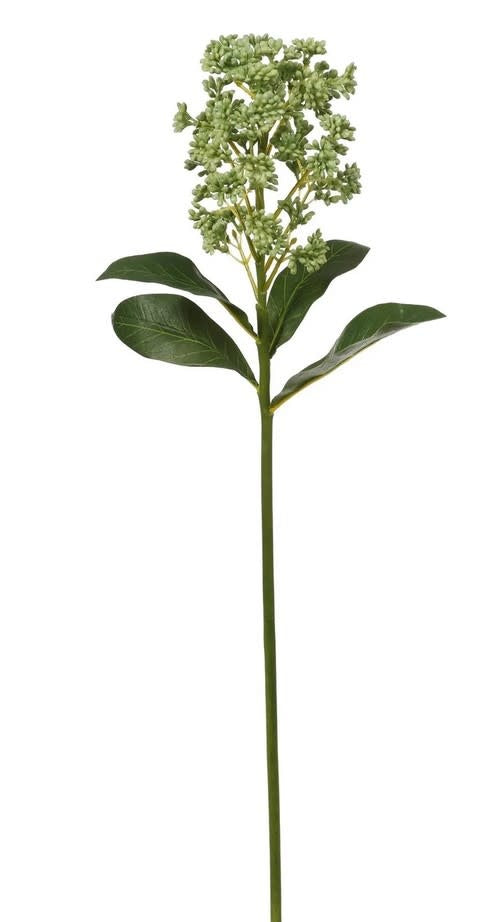20" Green Skemmk Spray