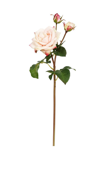 22" Natural Touch Sweet Juliet English Rose (3-Colors)