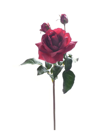 22" Natural Touch Sweet Juliet English Rose (3-Colors)