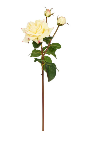 22" Natural Touch Sweet Juliet English Rose (3-Colors)