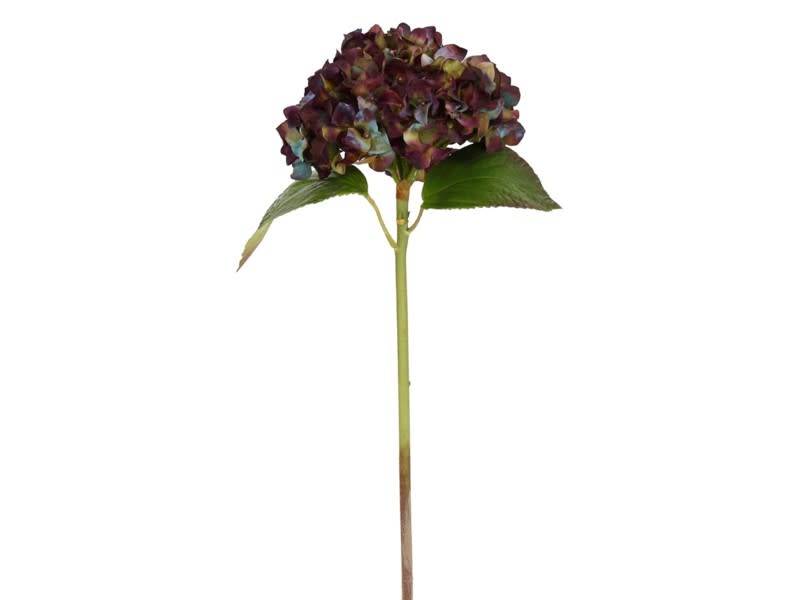 Natural Touch Garden Hydrangea (6 Colors)