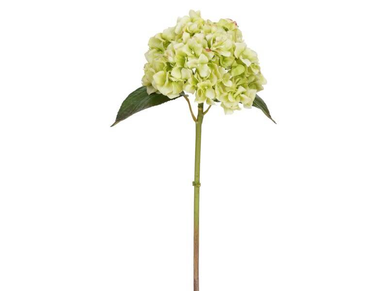 Natural Touch Garden Hydrangea (6 Colors)