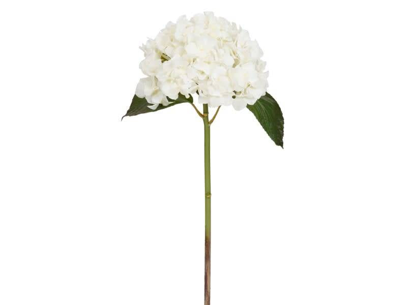 Natural Touch Garden Hydrangea (6 Colors)