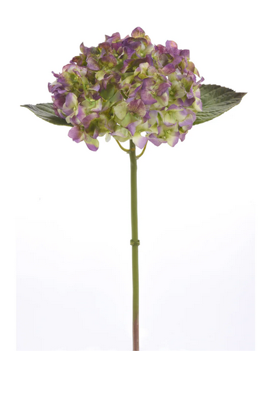 Natural Touch Garden Hydrangea (6 Colors)