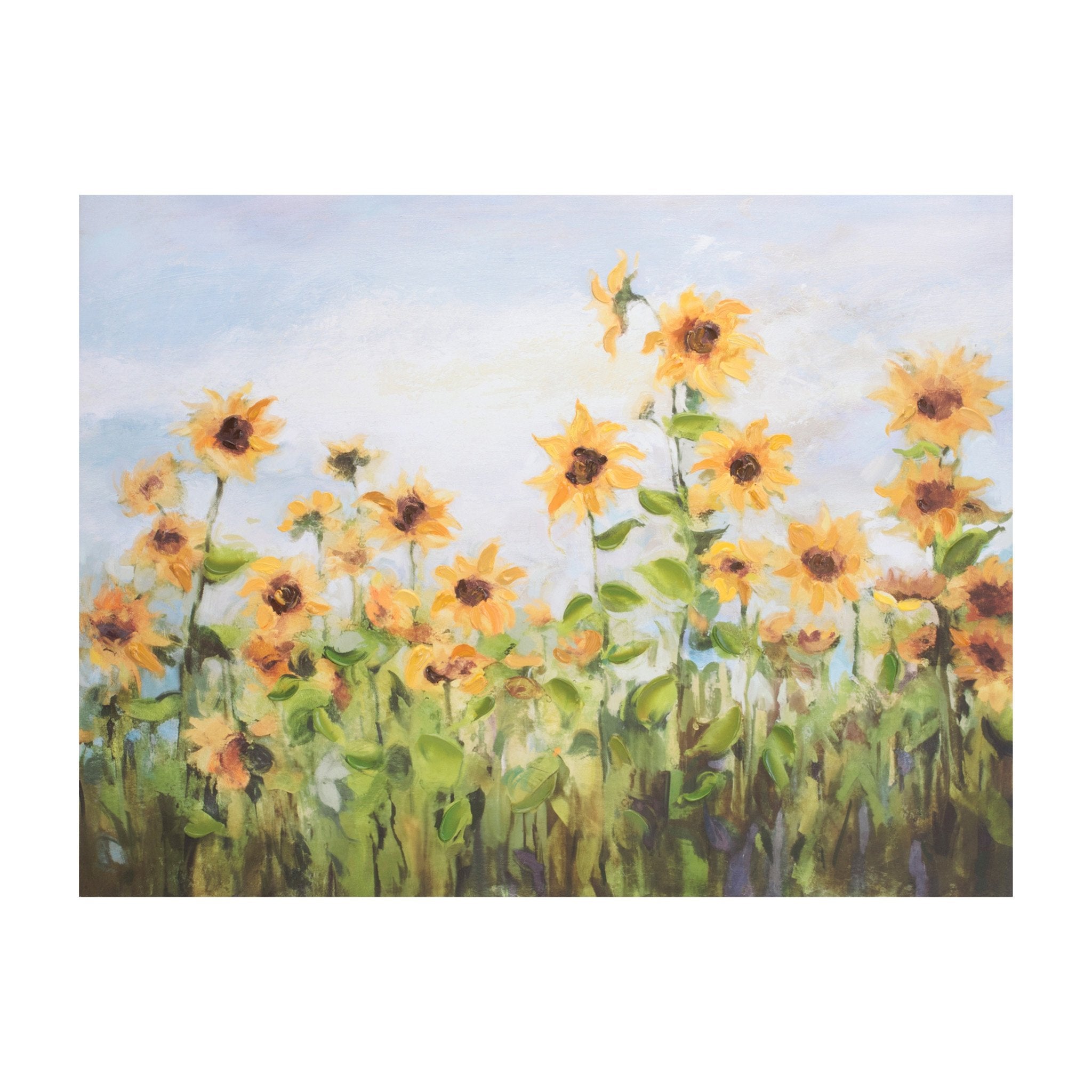 Meadow of Sunflowers Canvas