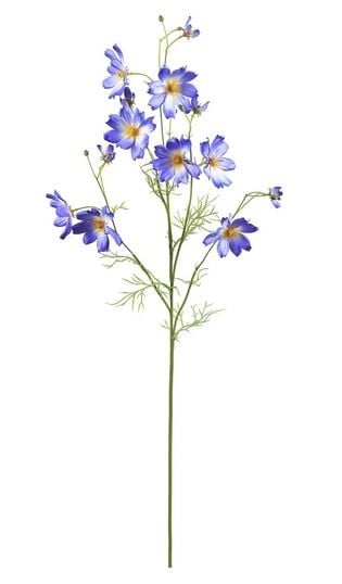 Garden Cosmos Spray (3-Colors)