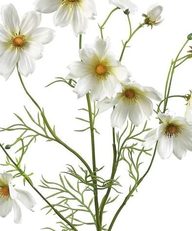 Garden Cosmos Spray (3-Colors)