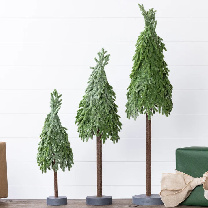 Set of 3 Norfolk Pine Trees