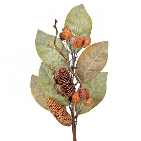 Magnolia Leaf w/ Nuts & Pinecones