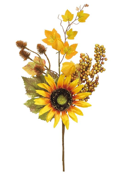 Sunflower Berry Pick