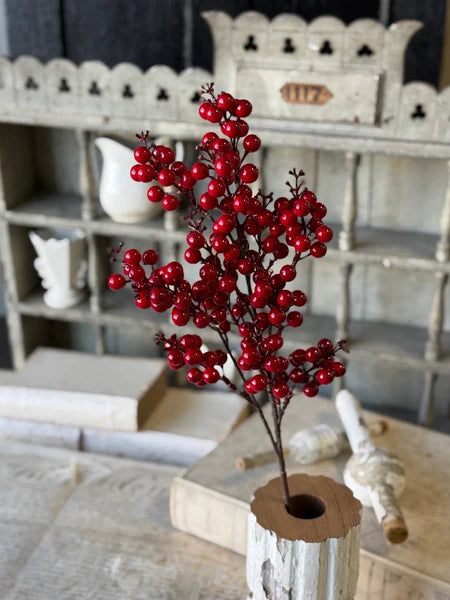 24" Scarlet Sonata Berry Stem