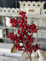 24" Scarlet Sonata Berry Stem