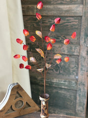 Chinese Lantern Spray (2 Colors)