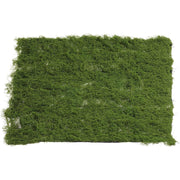39" x 39" Moss Sheet