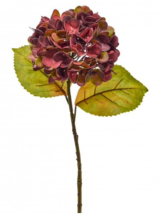 "Just Cut" Autumn Hydrangea (3 Colors)