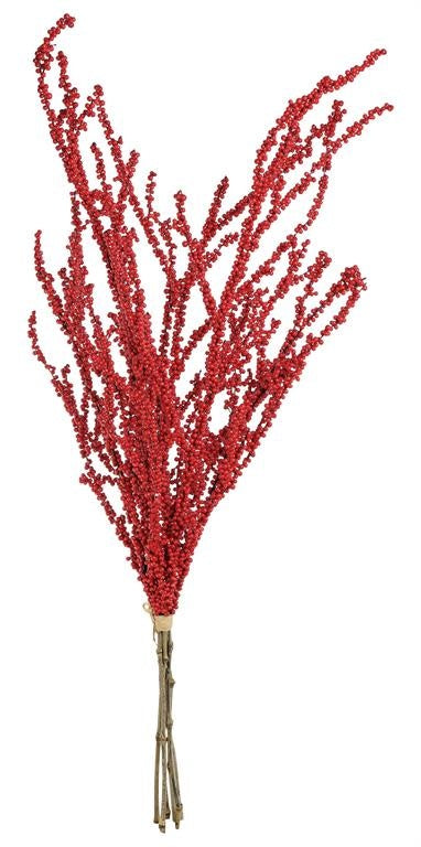 Red Twig Berry Bundle