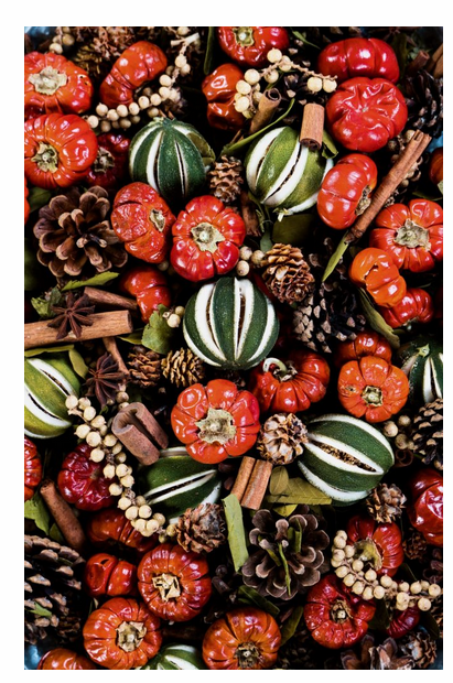 Garden Route Pumpkin Spice Botanical Blend Potpourri