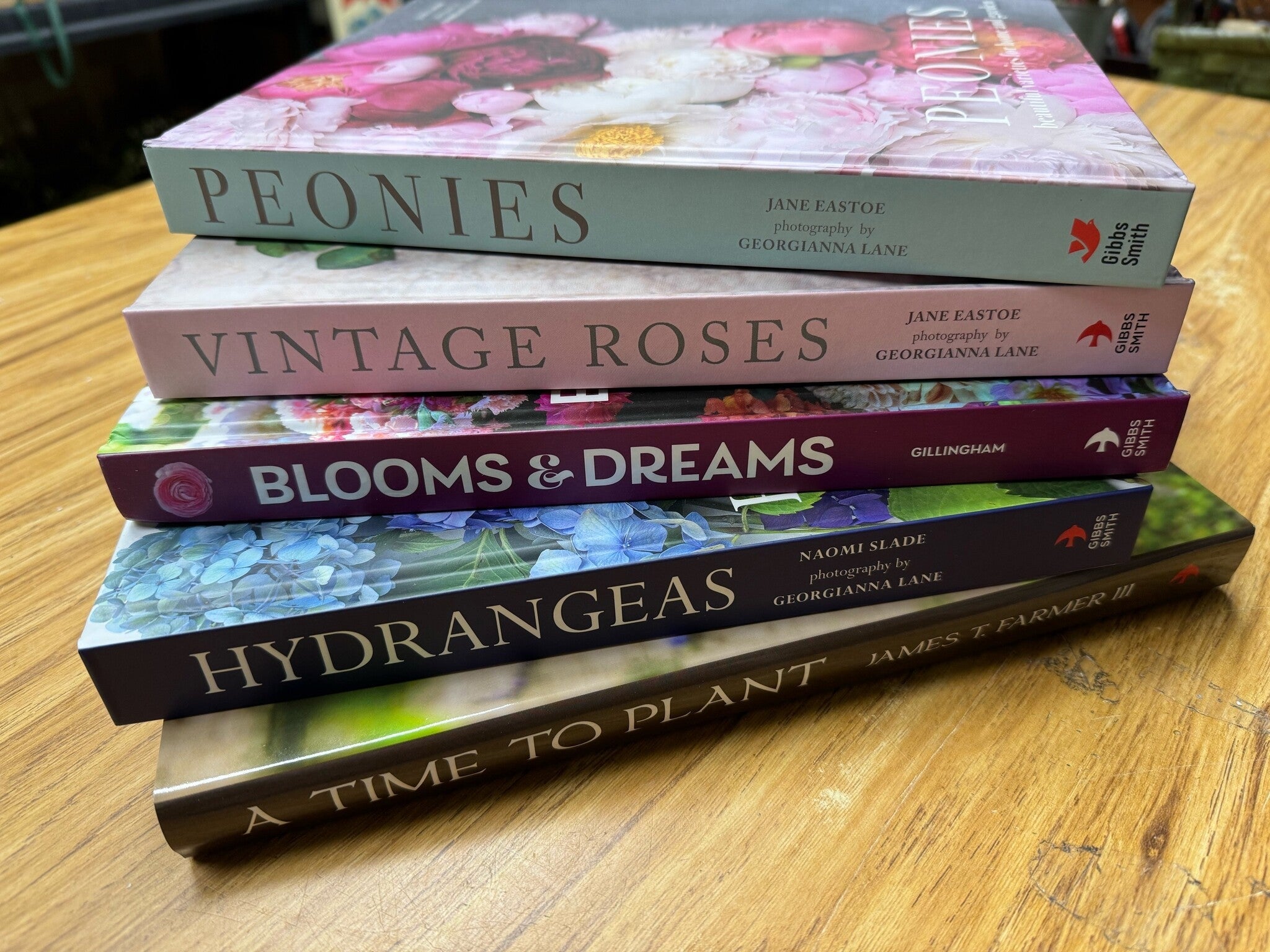 Botanical Beauty in Full Bloom Book