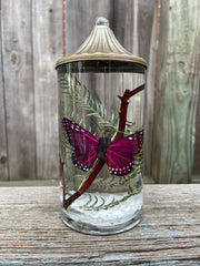 Purple Butterfly Lifetime Short Cylinder