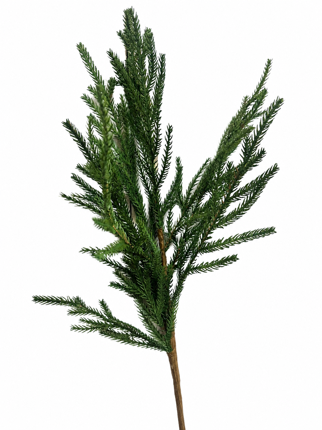 Soft Touch Mini Fir Spray