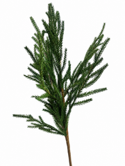 Soft Touch Mini Fir Spray