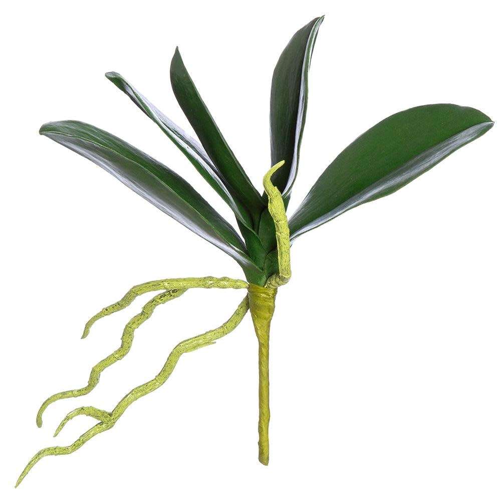 Natural Touch 9" Phalaenopsis Leaf Foliage