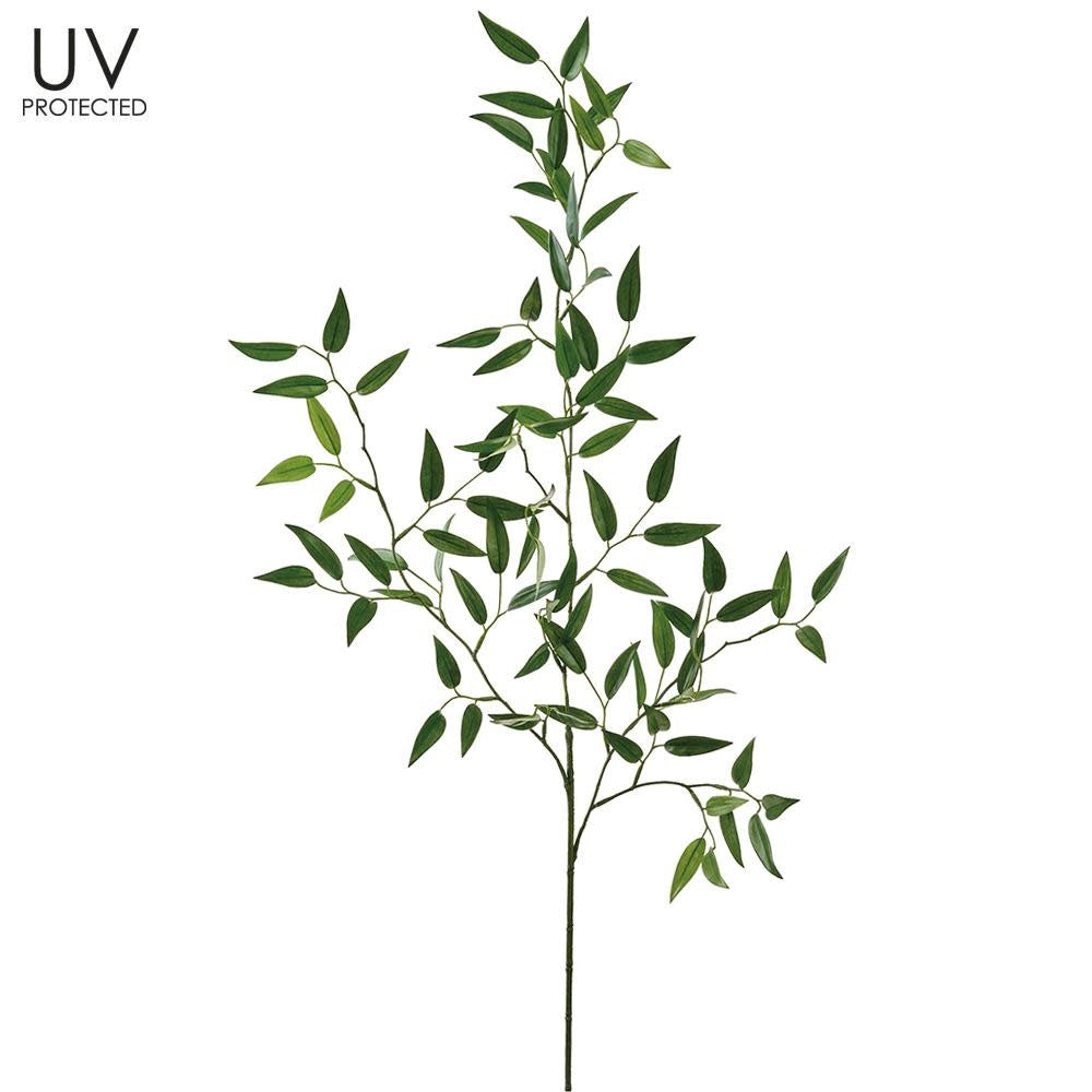 36" UV Protected Ruscus Spray