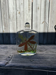 Dragonfly Flask Vase Lifetime Oil Candle
