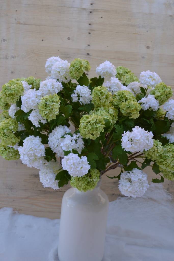 Snowball Branch Spray (2 Colors)