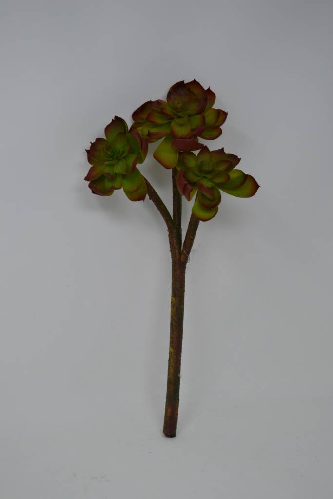 Triple Succulent Spray