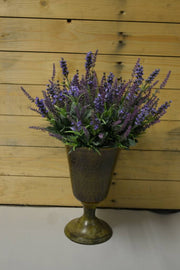 Mixed Lavender Bush