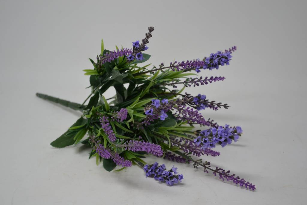 Mixed Lavender Bush