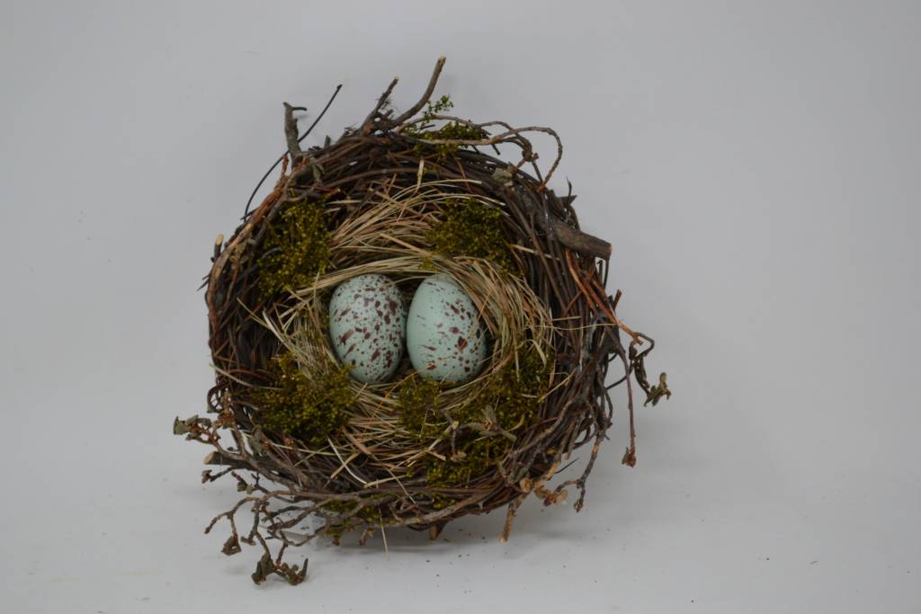 Blue Speckled Egg Nest (2 Sizes)