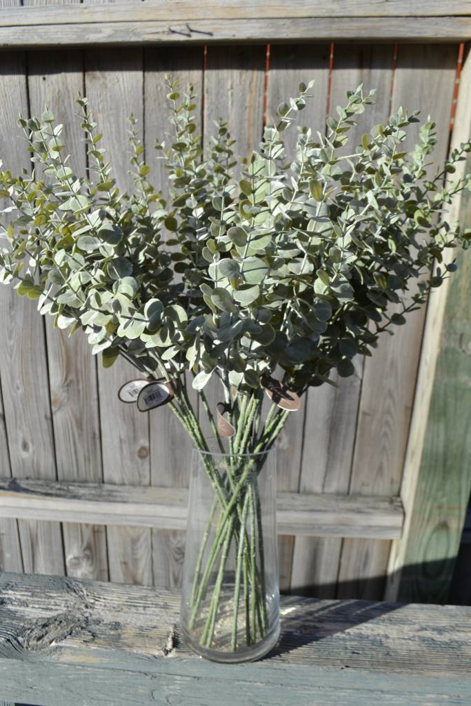Mini Dusty Eucalyptus Spray