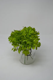 Mini Soft Leaf Pick