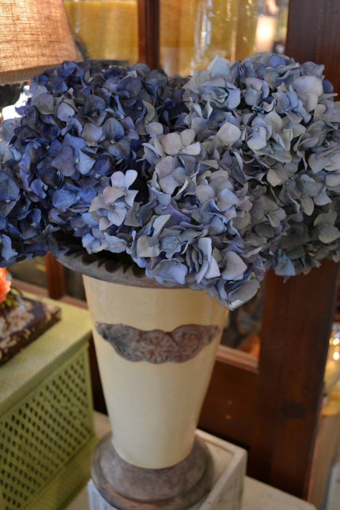 Pointed Petal Hydrangea (3 Colors)