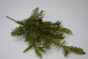 Douglas Fir Pick