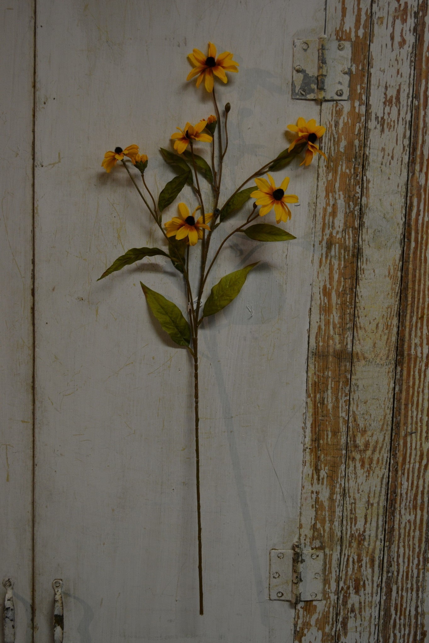 Black-Eyed Susan Spray (2-colors)