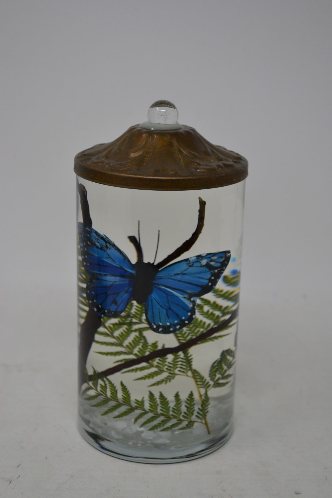 Blue Butterfly Lifetime Oil Candle (3-Styles)