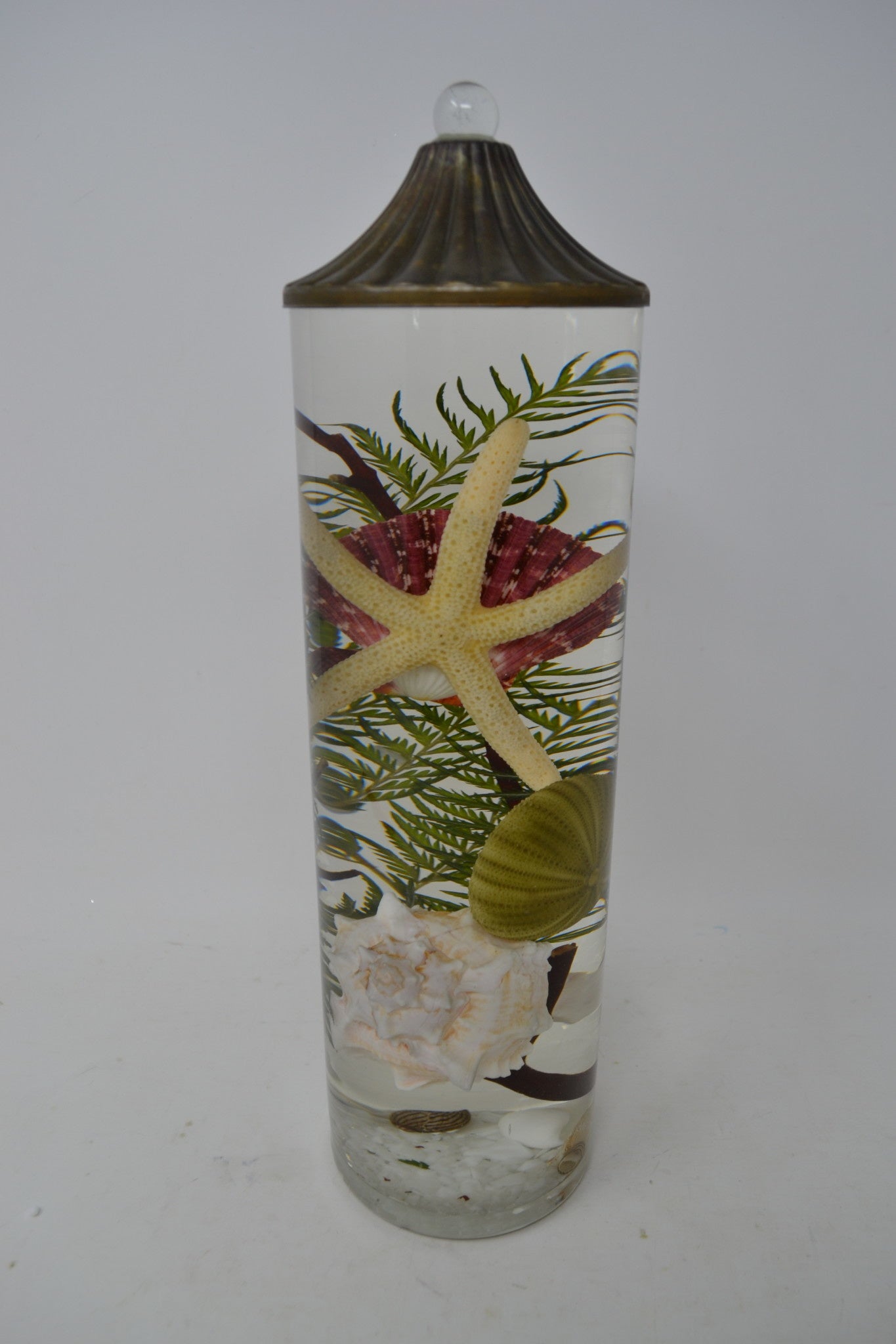 Seashell Lifetime Candle (9-Styles)