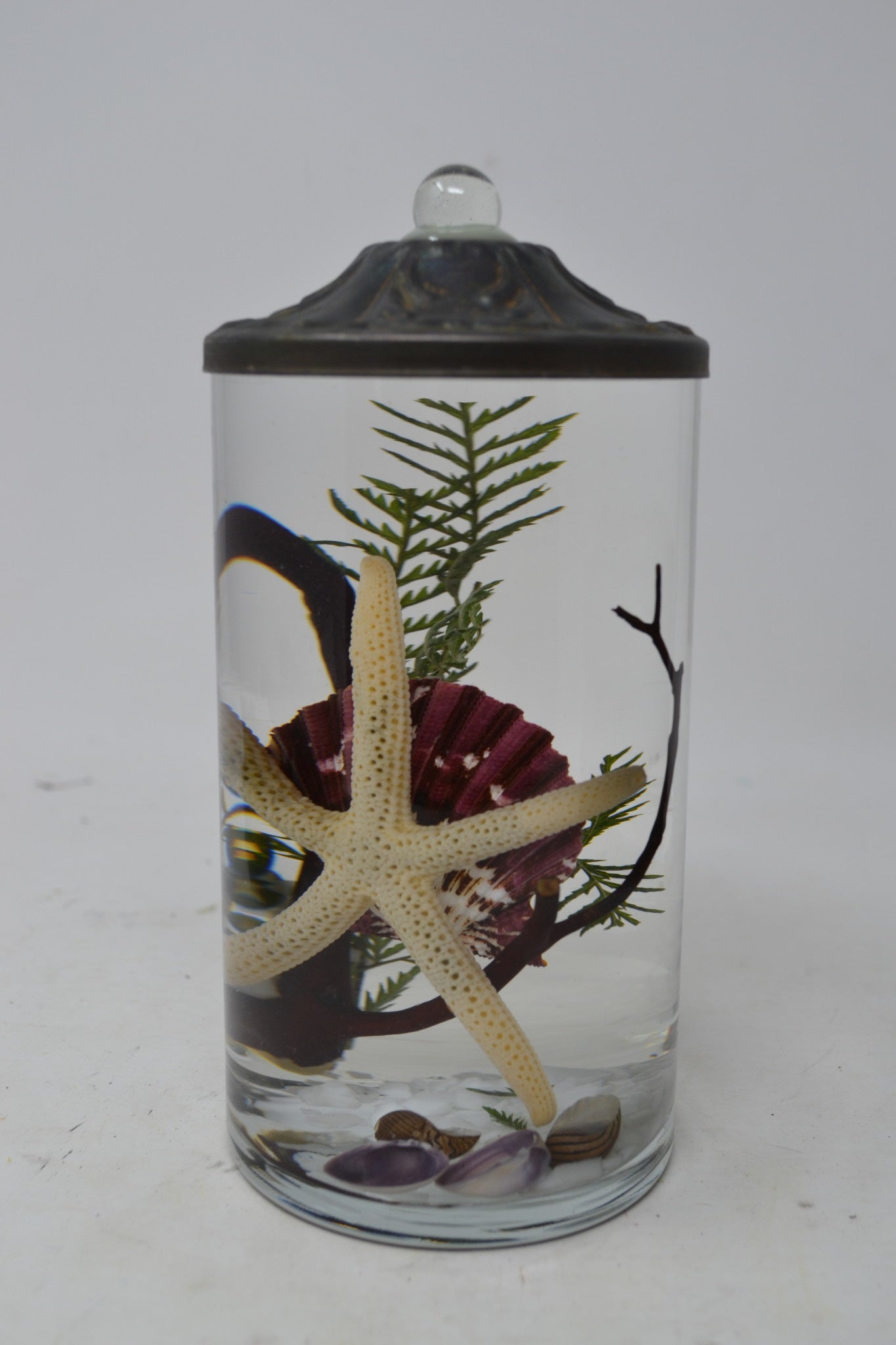 Seashell Lifetime Candle (9-Styles)