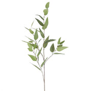 Willow Branch Spray
