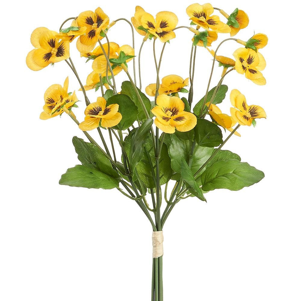 Garden Pansy Bundle (3 Colors)