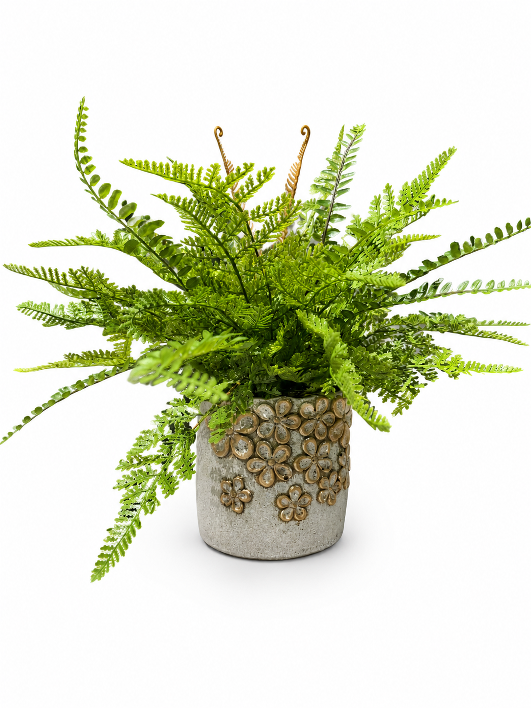 Custom Mixed Fern in Golden Flower Petal Container