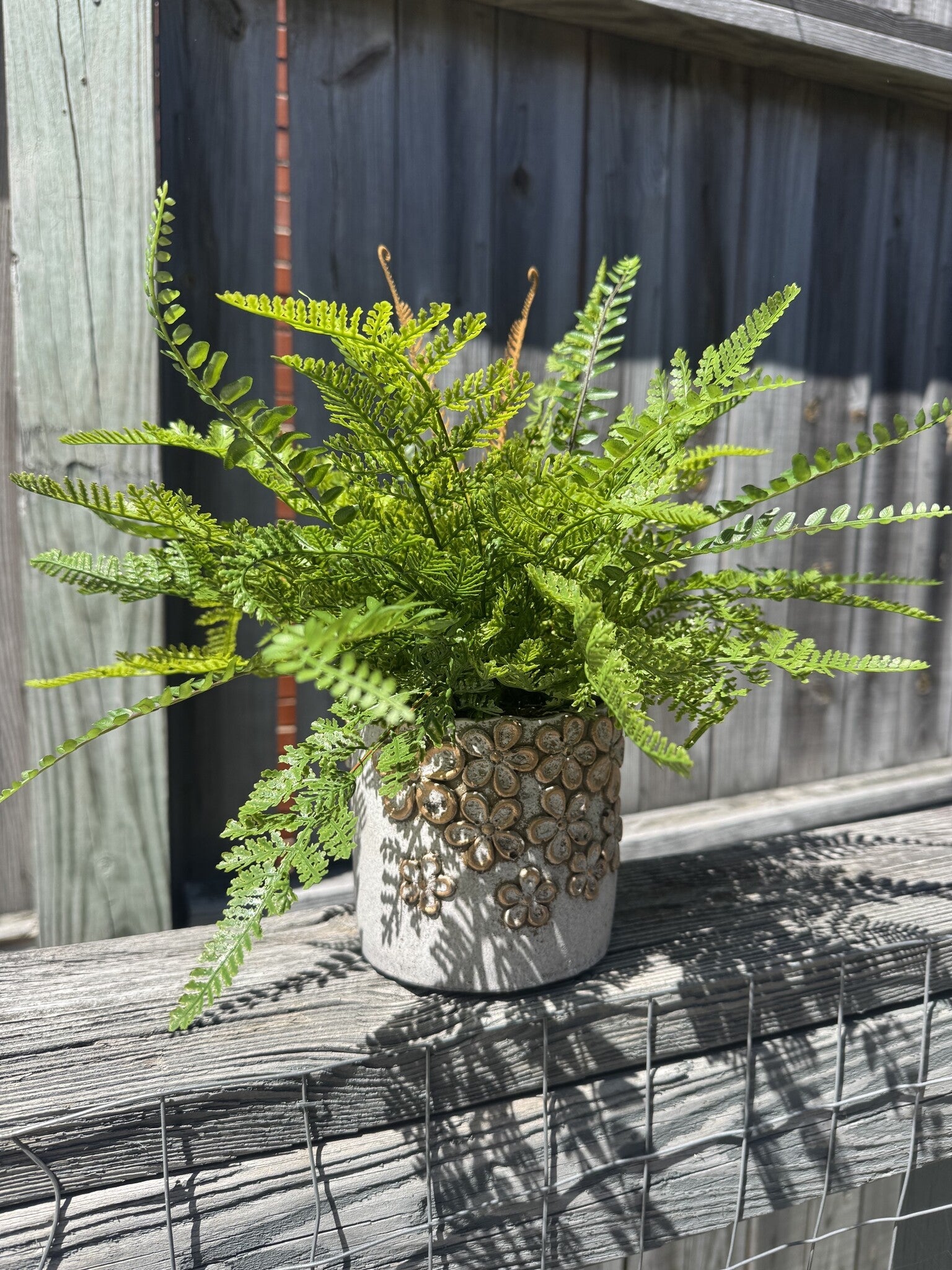 Custom Mixed Fern in Golden Flower Petal Container