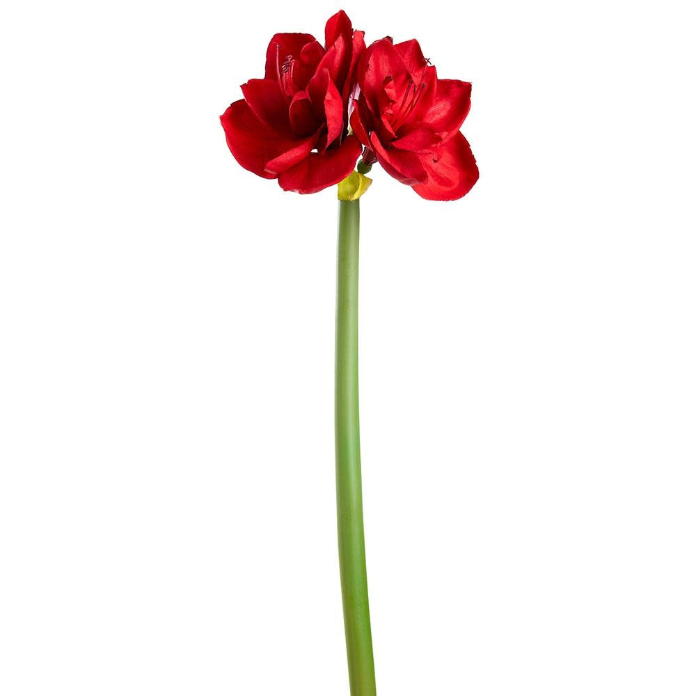 27" Red Amaryllis Spray