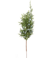 Mini Juniper Pick
