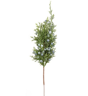 Mini Juniper Pick