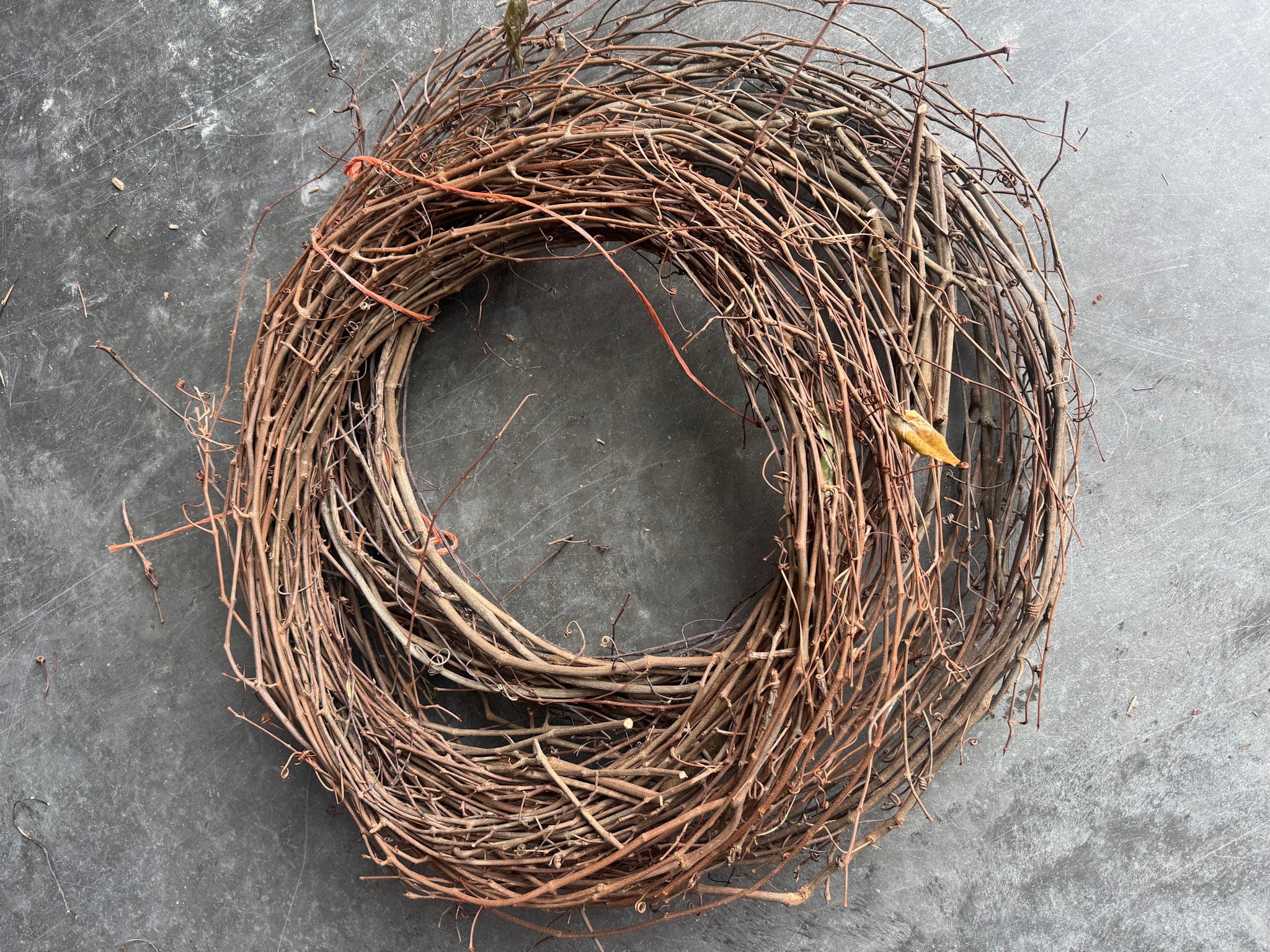 24' Grapevine Bundle