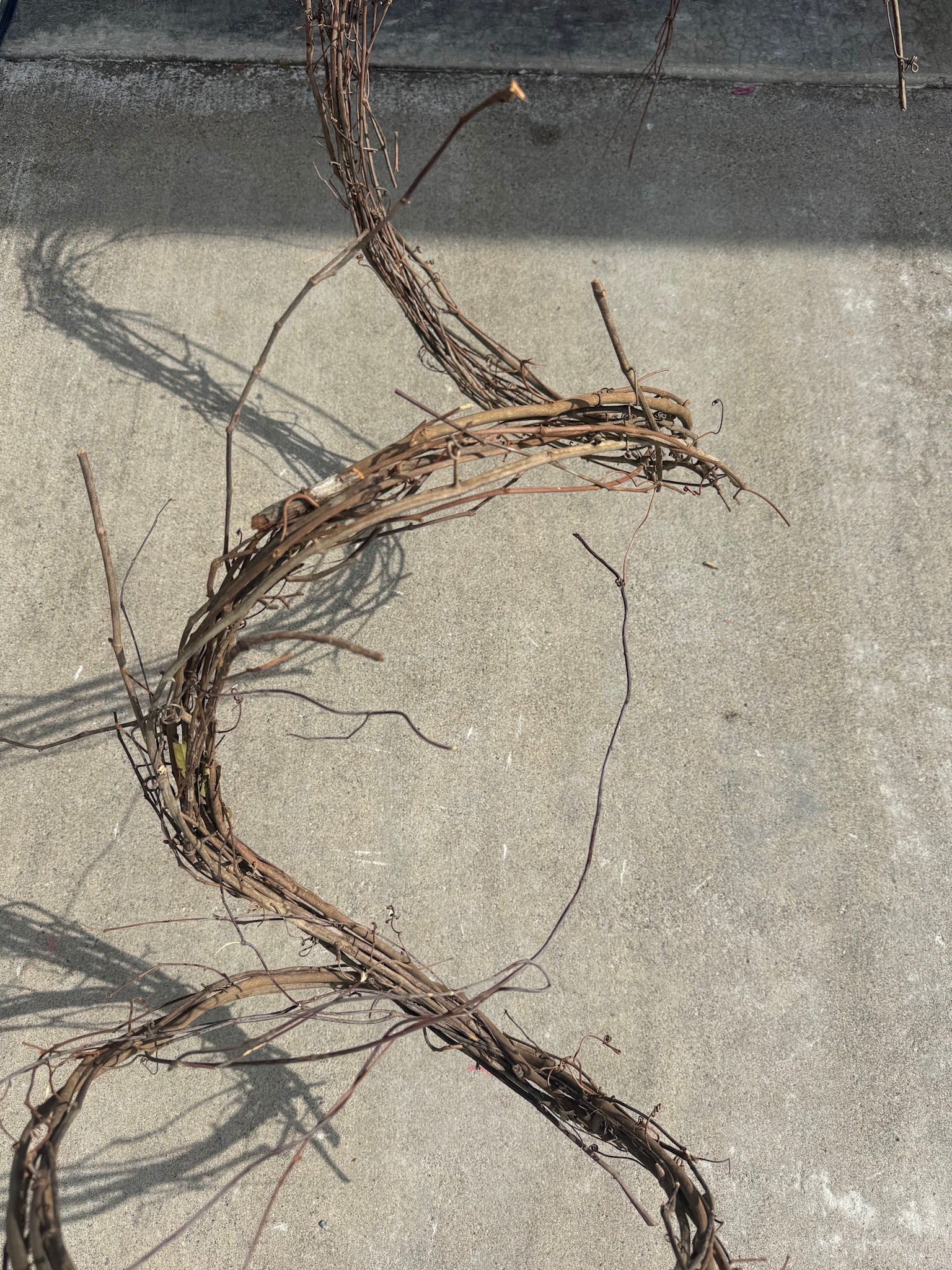 24' Grapevine Bundle